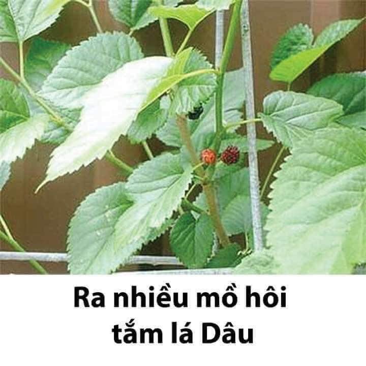 Lưu lại dùng dần các mẹ nhé!