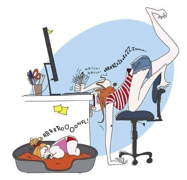 Có mom nào mệt mỏi giống em ko, vào tâm sự cho vui đi 😭