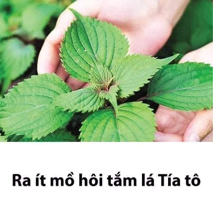 Lưu lại dùng dần các mẹ nhé!