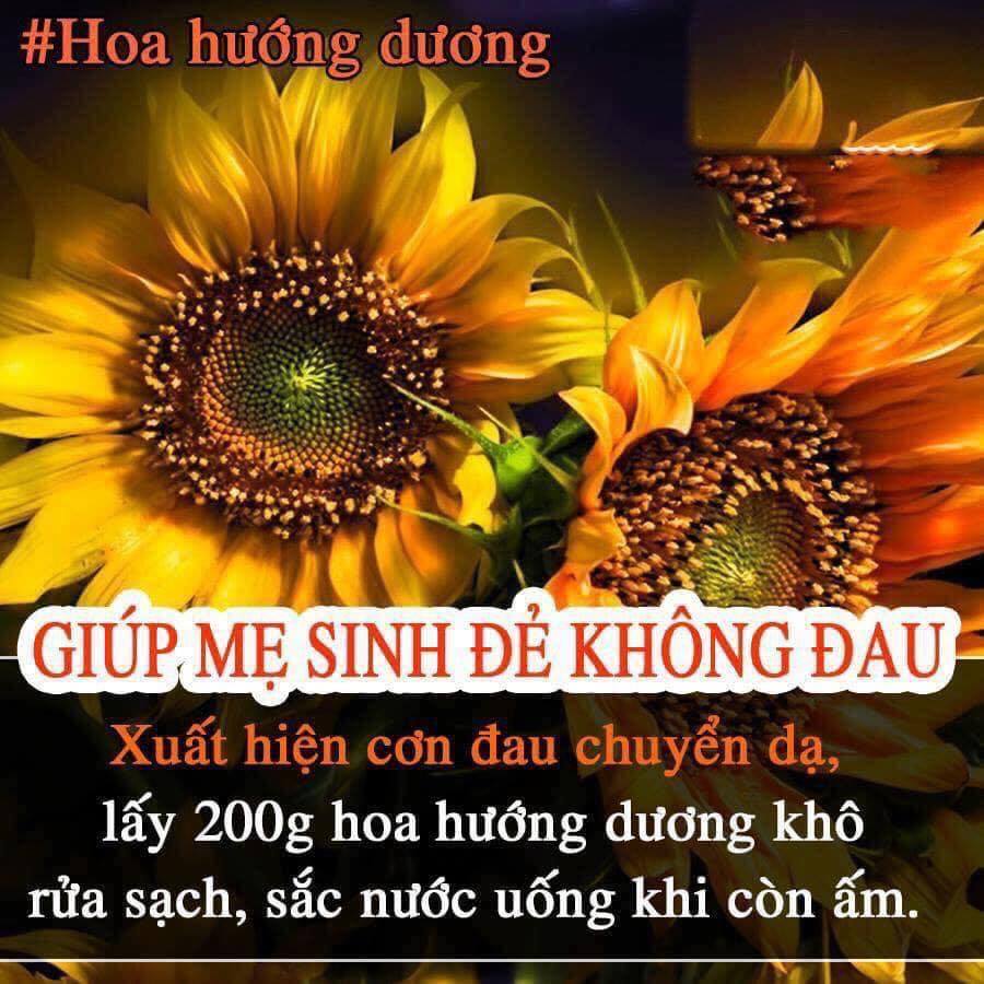 Những thực phẩm giúp bà bầu dễ sinh hơn!!
Các Mom lưu lại để dùng nhé !!!
