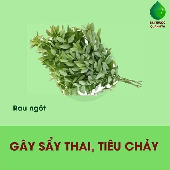 Một số thực phẩm mẹ bầu cần lưu ý.

>>> Xem thêm những việc ko nên làm khi mang bầu tại: https://mamibabi.com.vn/nen-va-khong-nen-khi-mang-bau