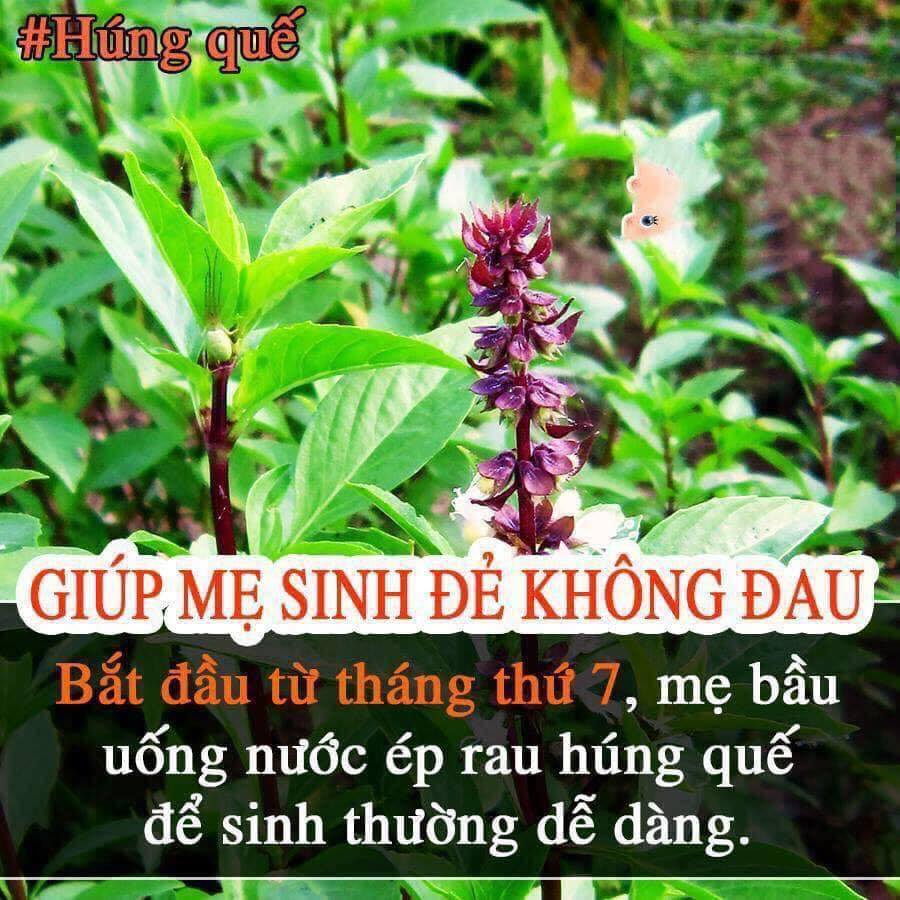 Những thực phẩm giúp bà bầu dễ sinh hơn!!
Các Mom lưu lại để dùng nhé !!!
