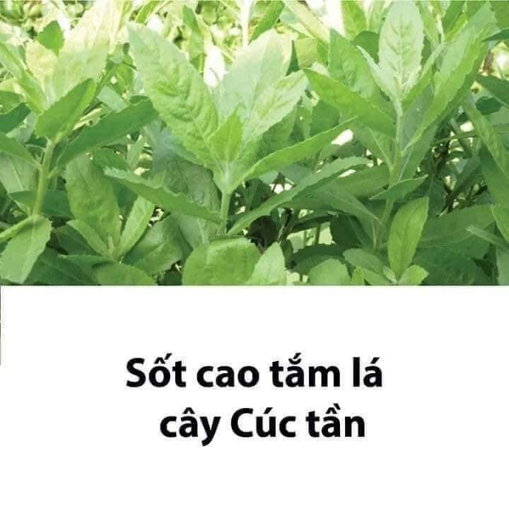 Lưu lại dùng dần các mẹ nhé!