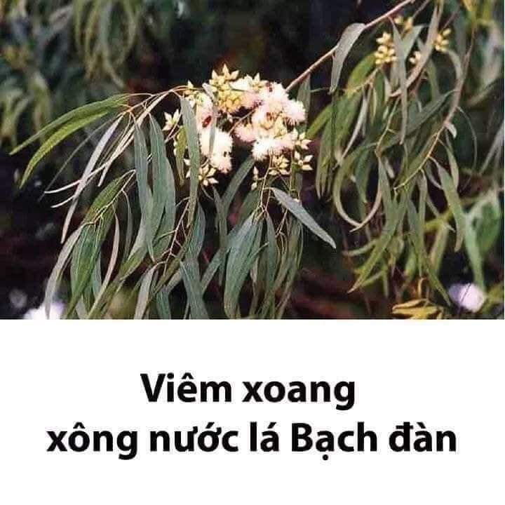Lưu lại dùng dần các mẹ nhé!