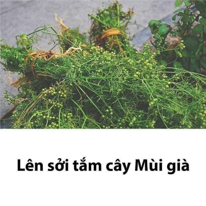 Lưu lại dùng dần các mẹ nhé!