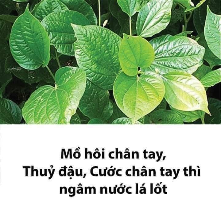 Lưu lại dùng dần các mẹ nhé!
