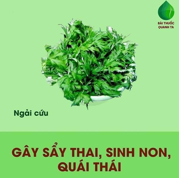 Một số thực phẩm mẹ bầu cần lưu ý.

>>> Xem thêm những việc ko nên làm khi mang bầu tại: https://mamibabi.com.vn/nen-va-khong-nen-khi-mang-bau