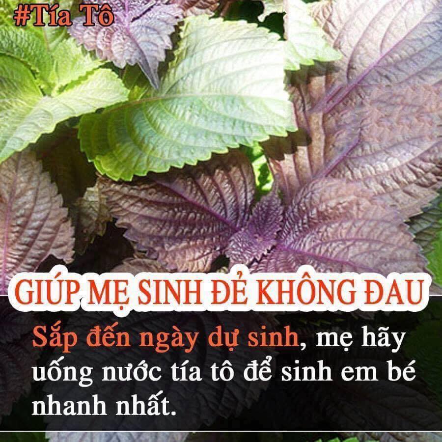Những thực phẩm giúp bà bầu dễ sinh hơn!!
Các Mom lưu lại để dùng nhé !!!