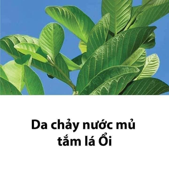 Lưu lại dùng dần các mẹ nhé!