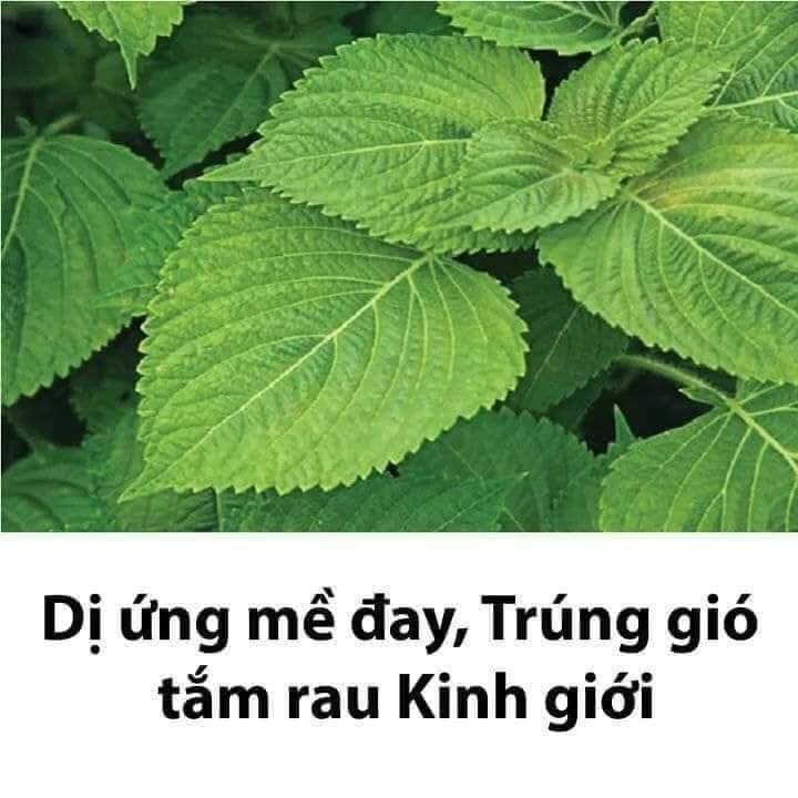 Lưu lại dùng dần các mẹ nhé!