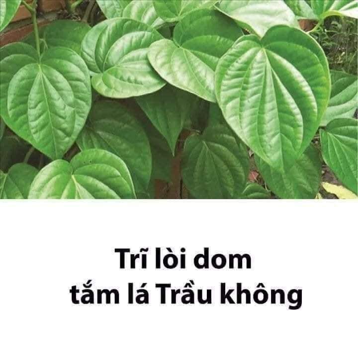 Lưu lại dùng dần các mẹ nhé!