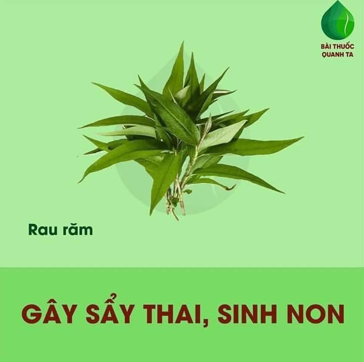 Một số thực phẩm mẹ bầu cần lưu ý.

>>> Xem thêm những việc ko nên làm khi mang bầu tại: https://mamibabi.com.vn/nen-va-khong-nen-khi-mang-bau