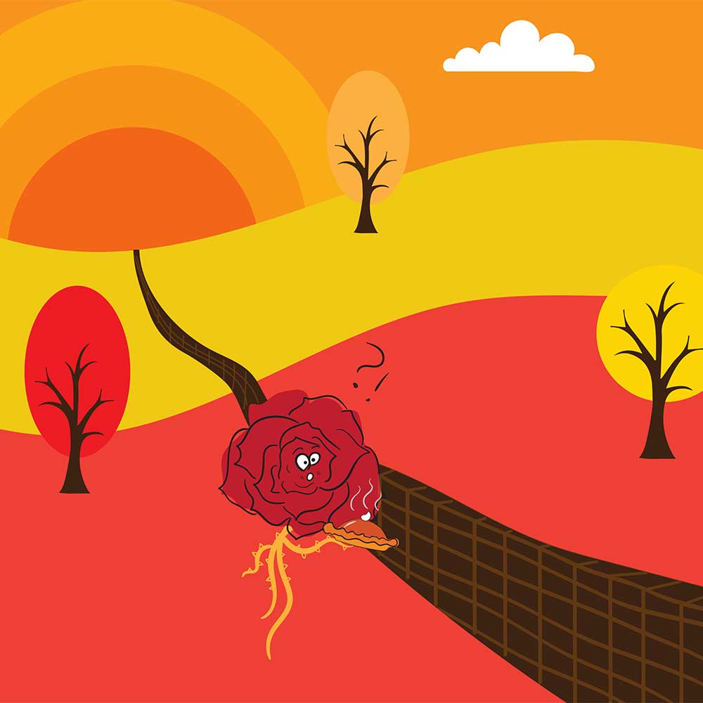 Truyện Ehon - Truyện tranh thai giáo: Chiếc bánh bí ngô