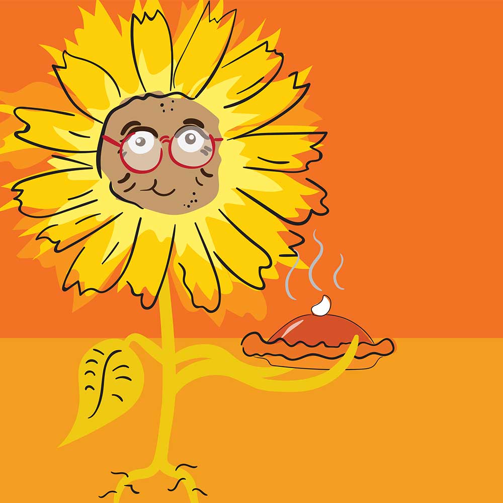 Truyện Ehon - Truyện tranh thai giáo: Chiếc bánh bí ngô