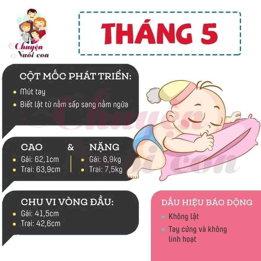 Sự phát triển của con theo từng tháng, bố mẹ tham khảo nè
