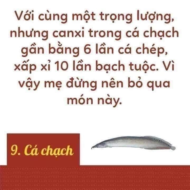 Thực phẩm ngon lại bổ cho mẹ bầu và thai nhi đây các mom nhé!