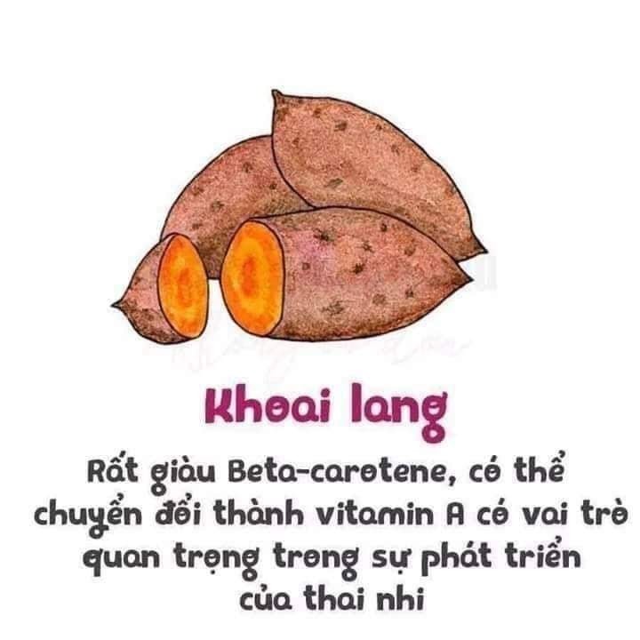 Thực phẩm ngon lại bổ cho mẹ bầu và thai nhi đây các mom nhé!
