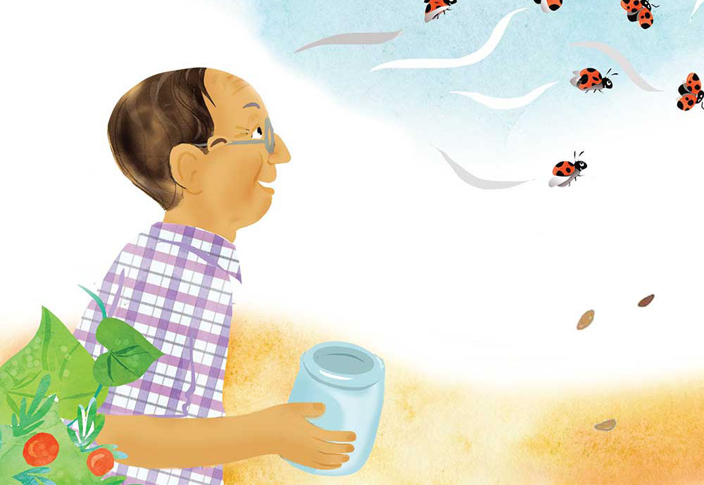 Truyện Ehon - Truyện tranh thai giáo: Khu vườn của ông Farouk