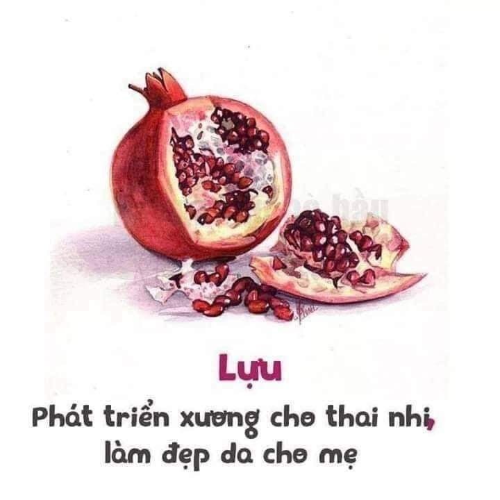 Thực phẩm ngon lại bổ cho mẹ bầu và thai nhi đây các mom nhé!
