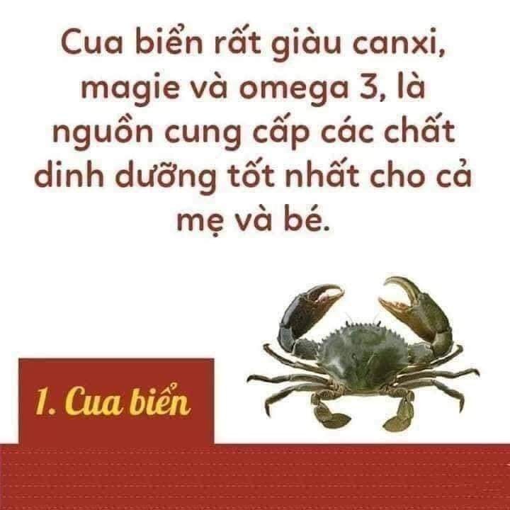 Thực phẩm ngon lại bổ cho mẹ bầu và thai nhi đây các mom nhé!