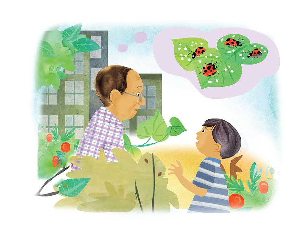 Truyện Ehon - Truyện tranh thai giáo: Khu vườn của ông Farouk