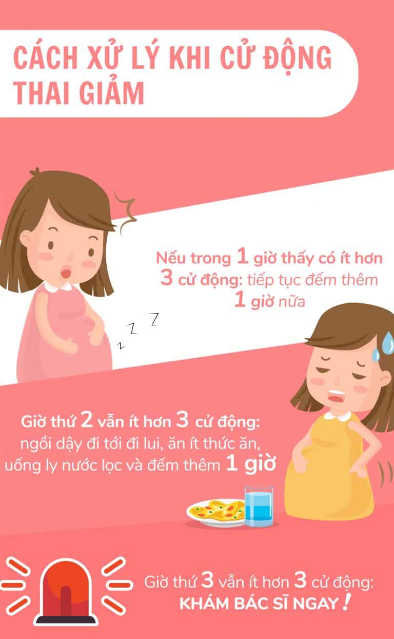 Thai máy là gì? Bao nhiêu tuần thì thai máy? Thai máy ở vị trí nào?