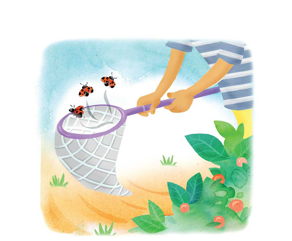 Truyện Ehon - Truyện tranh thai giáo: Khu vườn của ông Farouk