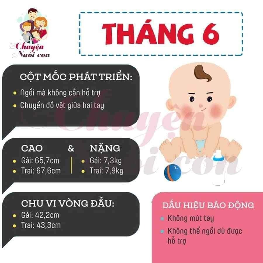 Sự phát triển của con theo từng tháng, bố mẹ tham khảo nè