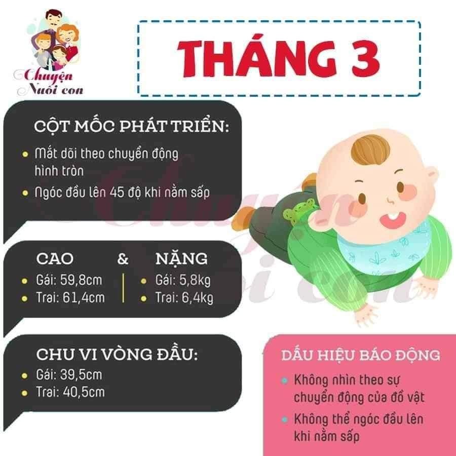 Sự phát triển của con theo từng tháng, bố mẹ tham khảo nè