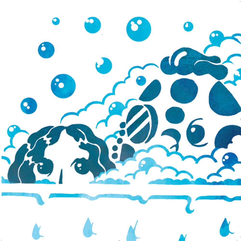 Truyện Ehon - Truyện tranh thai giáo: Zandi và người bạn bí ẩn