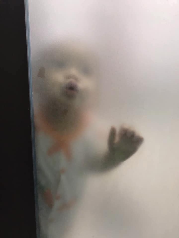 Mẹeeeeee ơiiiiiiiiii nhanhhhhhhh lênnnnnn!