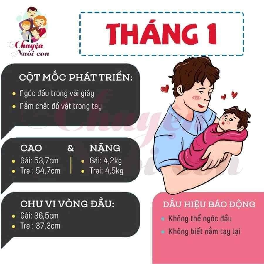 Sự phát triển của con theo từng tháng, bố mẹ tham khảo nè