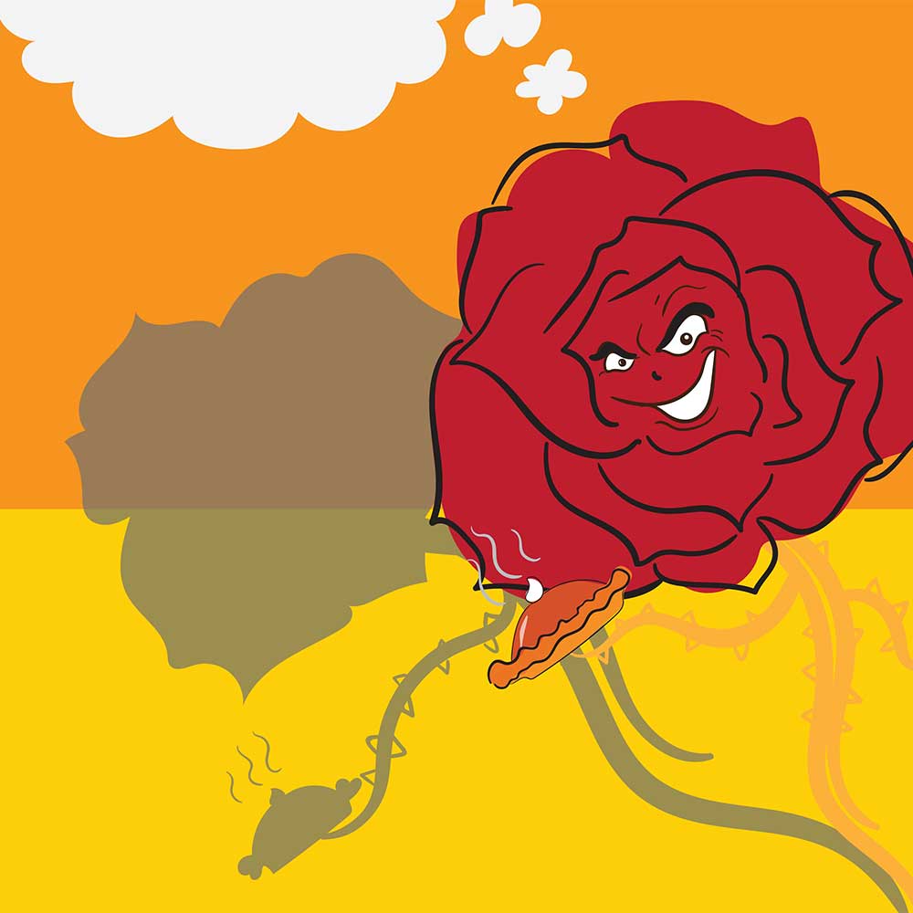 Truyện Ehon - Truyện tranh thai giáo: Chiếc bánh bí ngô