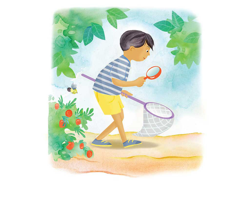 Truyện Ehon - Truyện tranh thai giáo: Khu vườn của ông Farouk