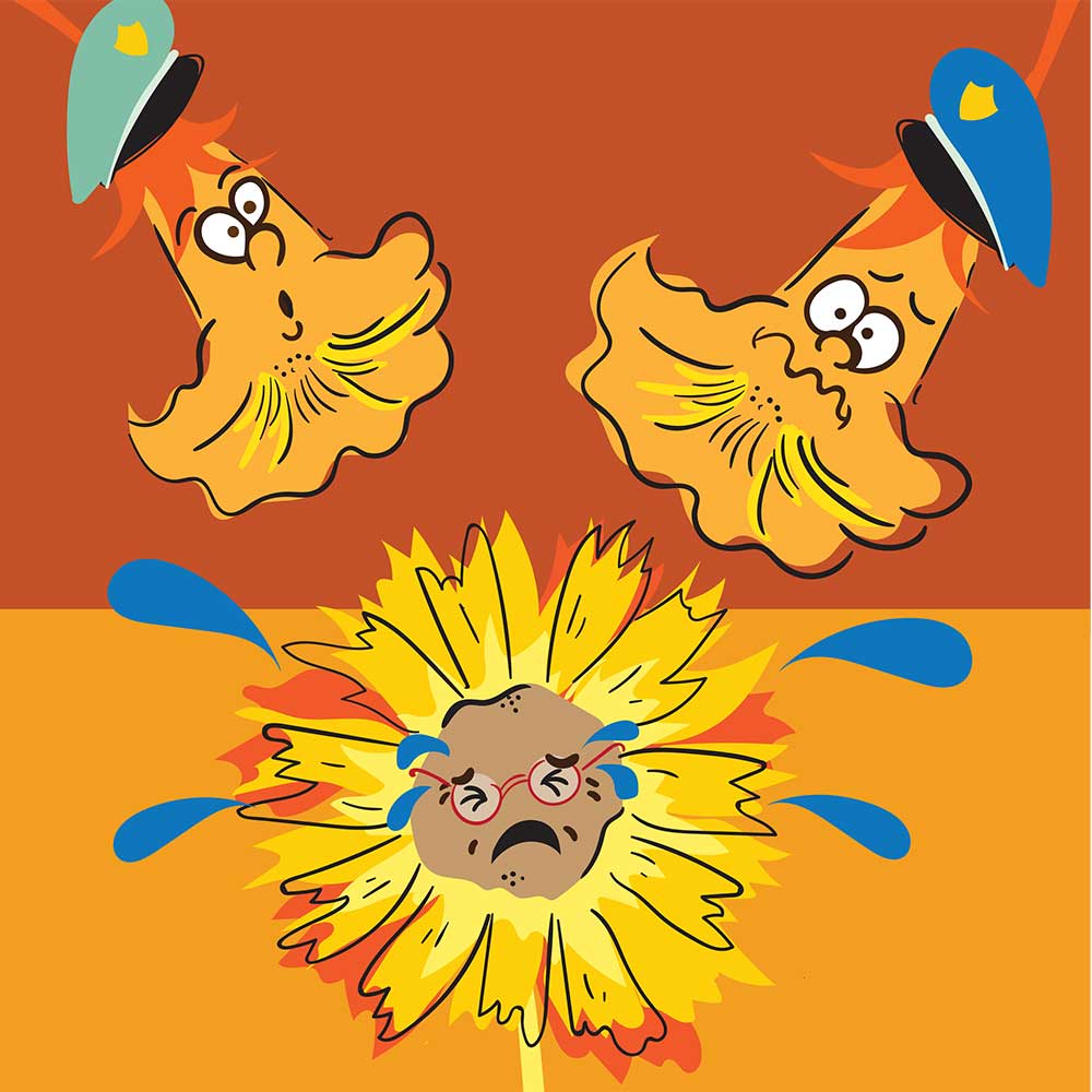 Truyện Ehon - Truyện tranh thai giáo: Chiếc bánh bí ngô