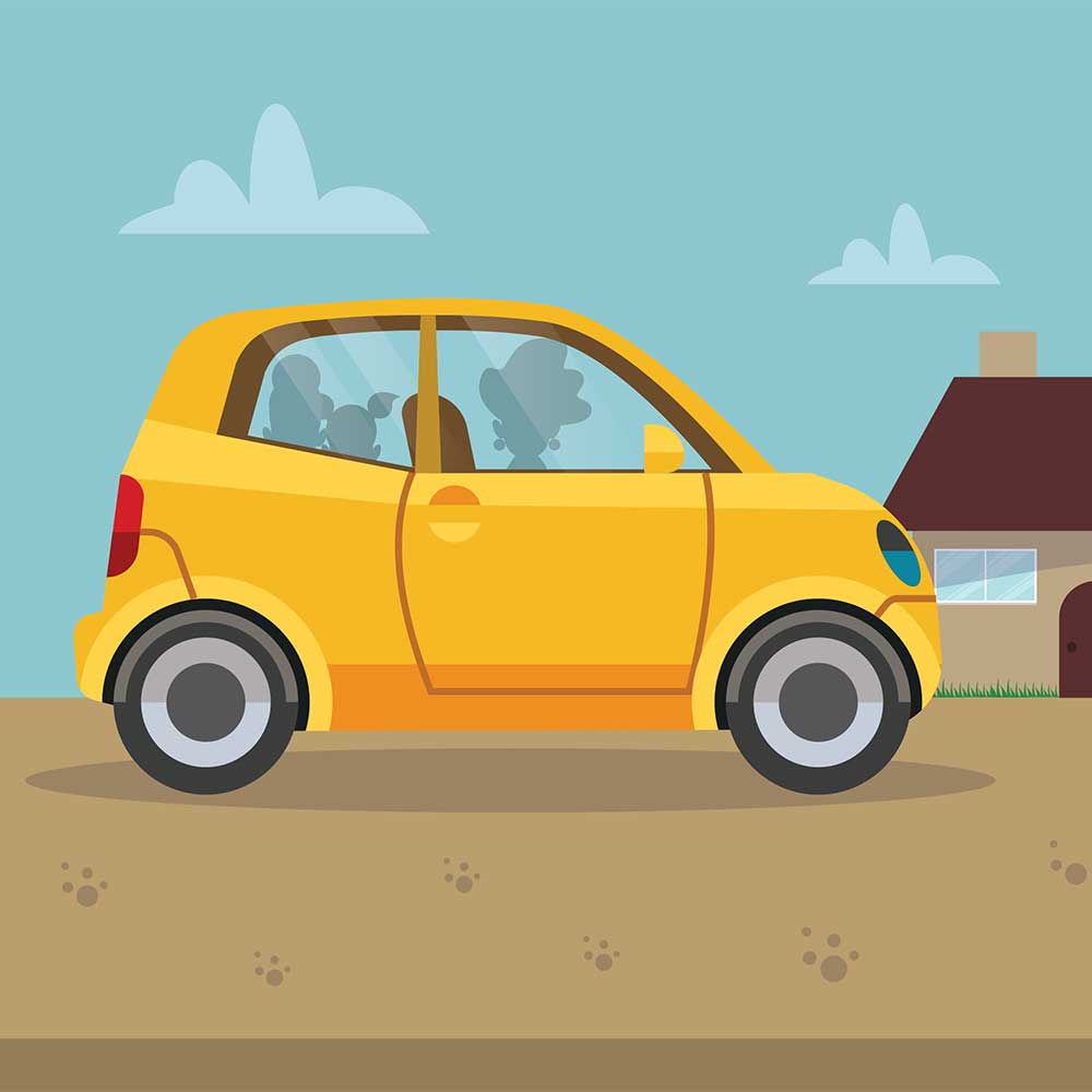 Truyện Ehon - Truyện tranh thai giáo: Món quà của dì Boi