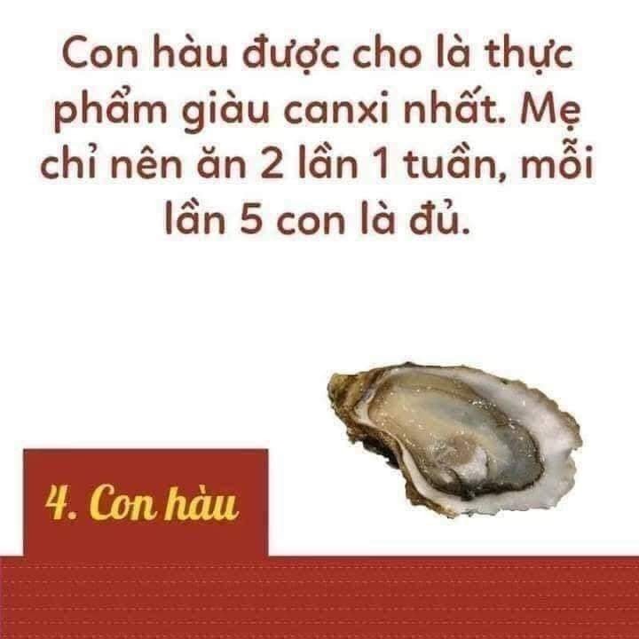 Thực phẩm ngon lại bổ cho mẹ bầu và thai nhi đây các mom nhé!