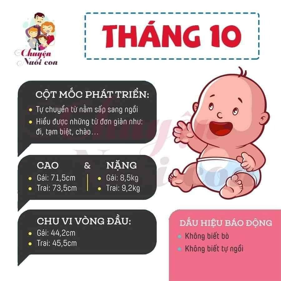 Sự phát triển của con theo từng tháng, bố mẹ tham khảo nè