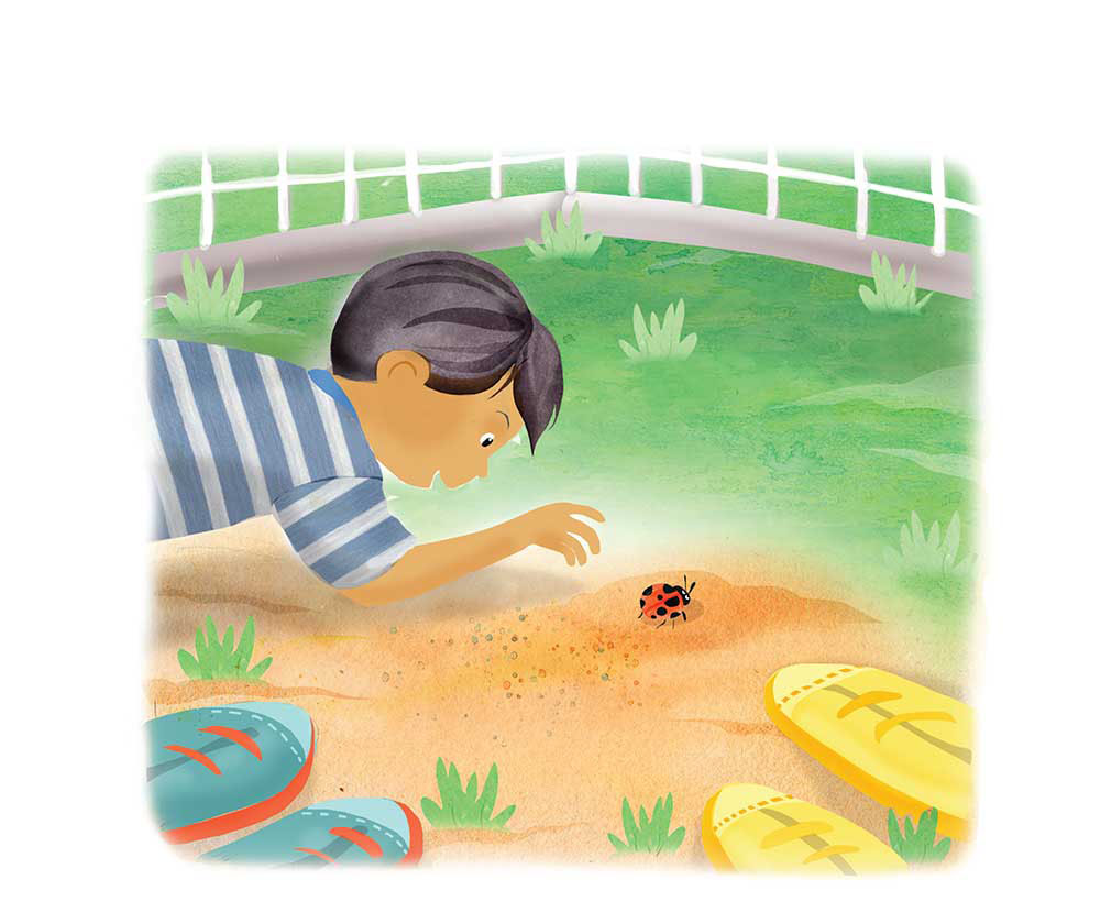 Truyện Ehon - Truyện tranh thai giáo: Khu vườn của ông Farouk