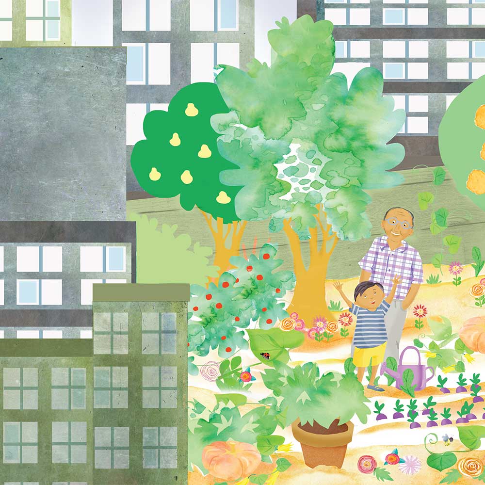 Truyện Ehon - Truyện tranh thai giáo: Khu vườn của ông Farouk