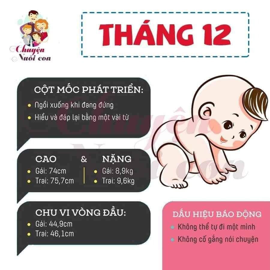 Sự phát triển của con theo từng tháng, bố mẹ tham khảo nè