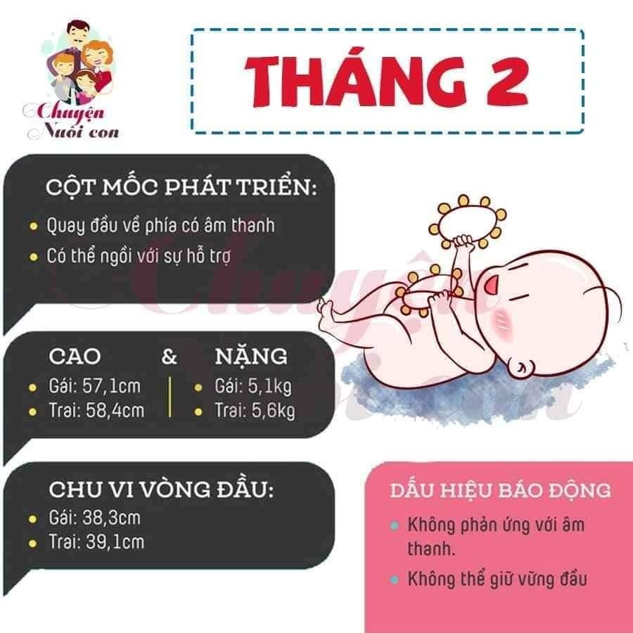 Sự phát triển của con theo từng tháng, bố mẹ tham khảo nè