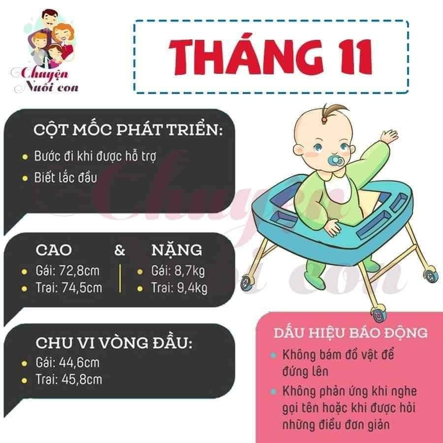 Sự phát triển của con theo từng tháng, bố mẹ tham khảo nè