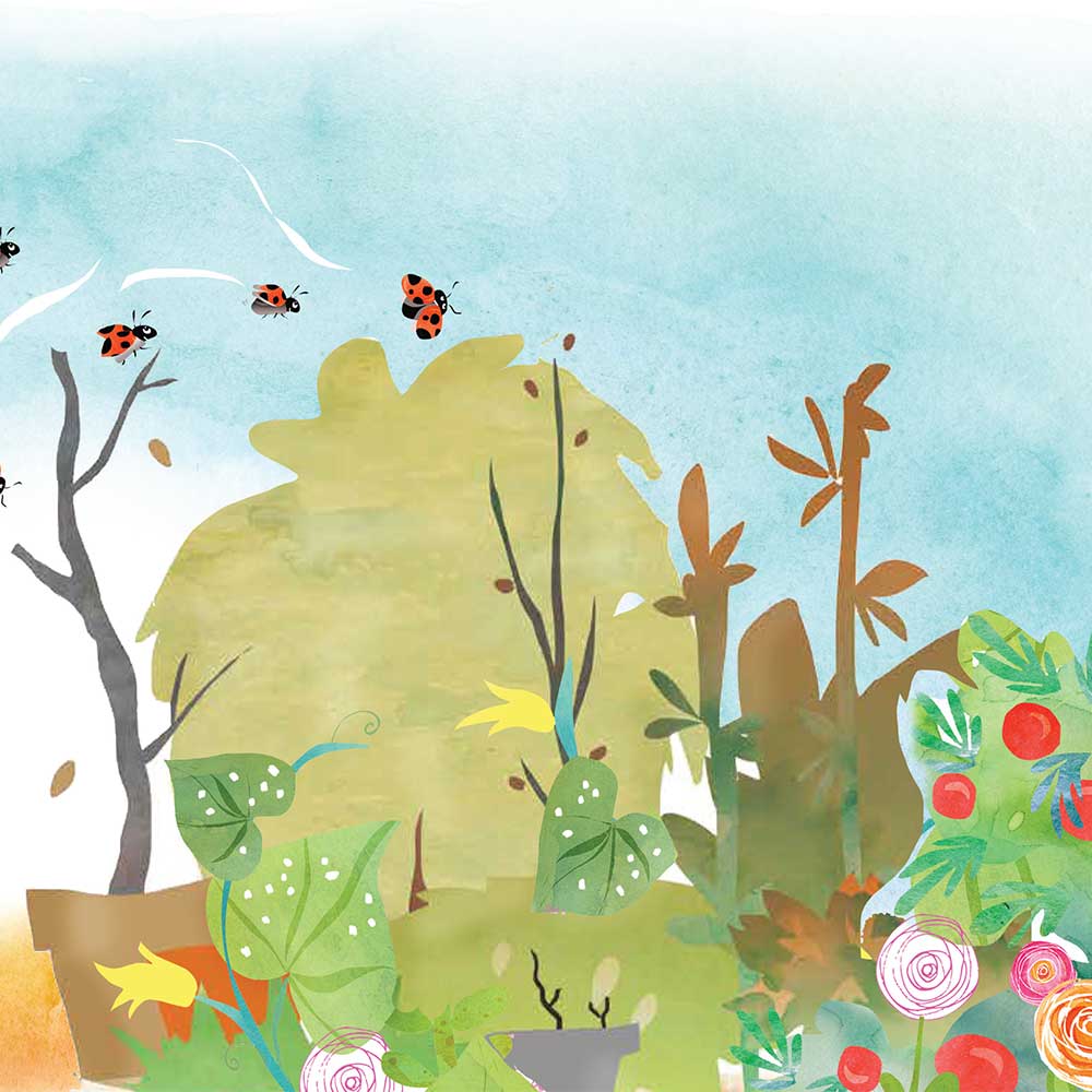 Truyện Ehon - Truyện tranh thai giáo: Khu vườn của ông Farouk