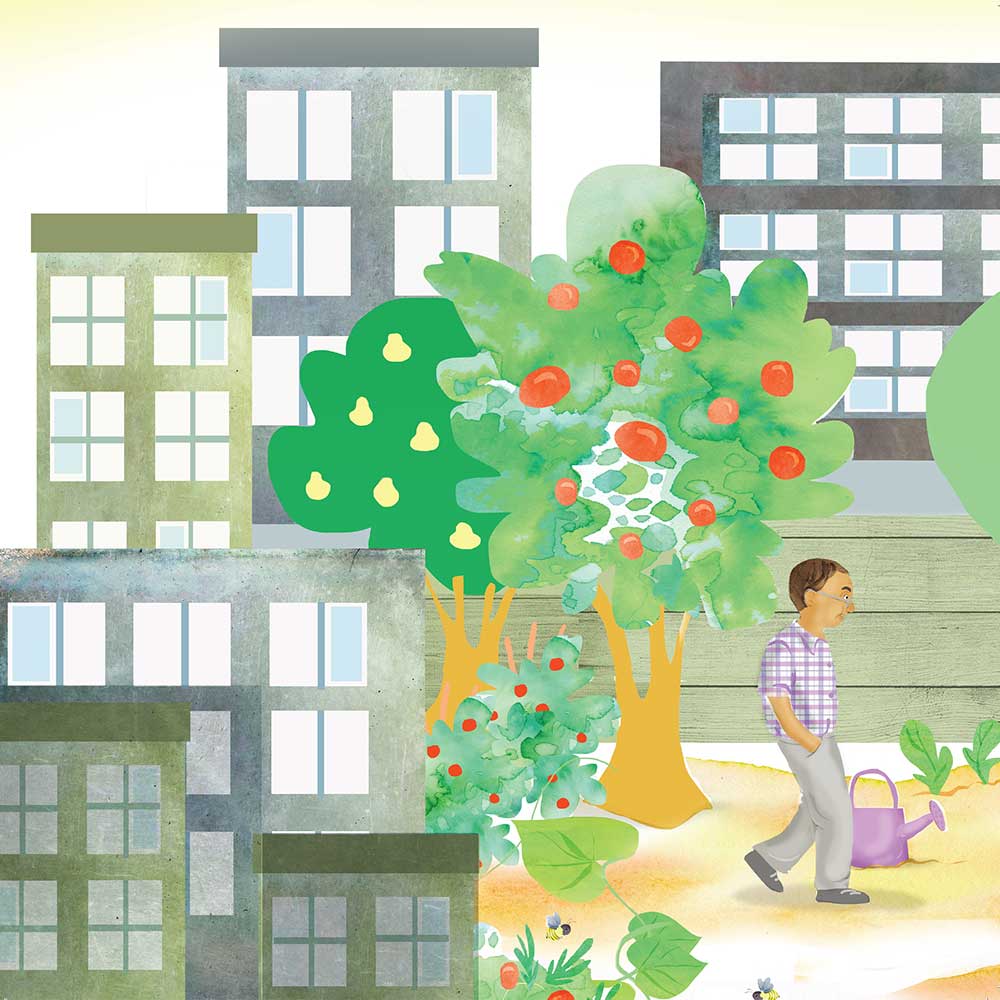 Truyện Ehon - Truyện tranh thai giáo: Khu vườn của ông Farouk