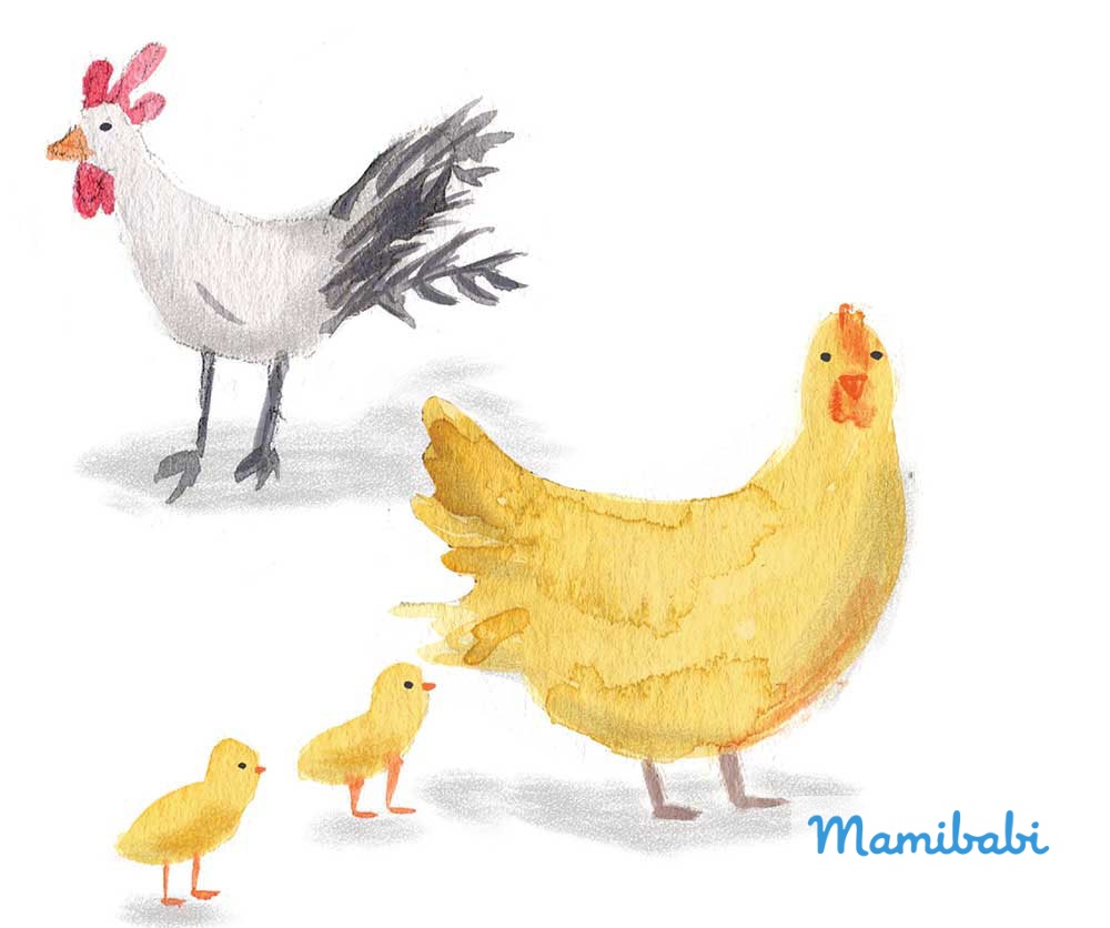 Truyện Ehon - Truyện tranh thai giáo: Zanele nhìn thấy những con số