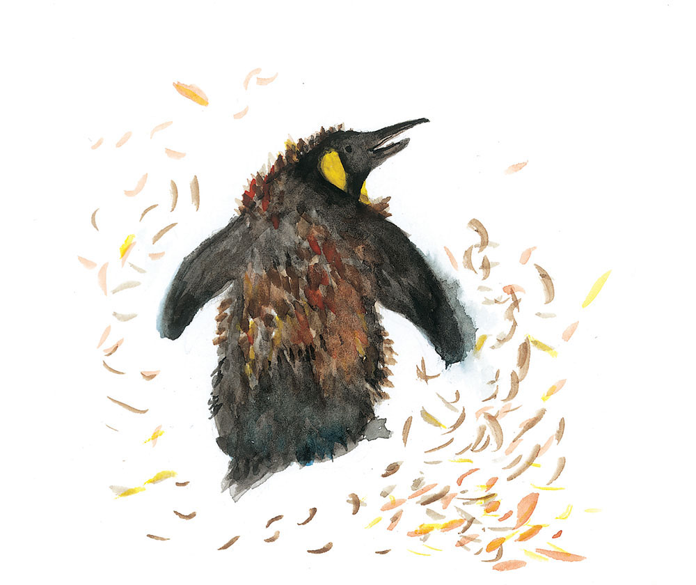 Truyện Ehon - Truyện tranh thai giáo: Những người bạn nhiều lông