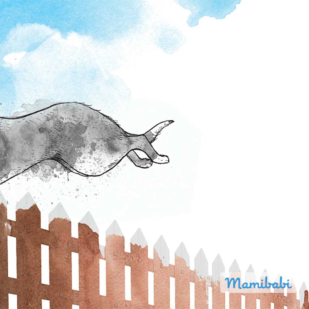 Truyện Ehon - Truyện tranh thai giáo: Bật nhảy