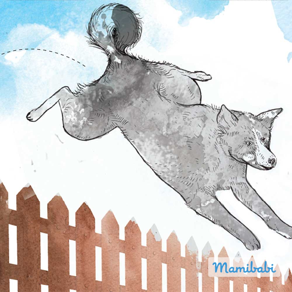 Truyện Ehon - Truyện tranh thai giáo: Bật nhảy