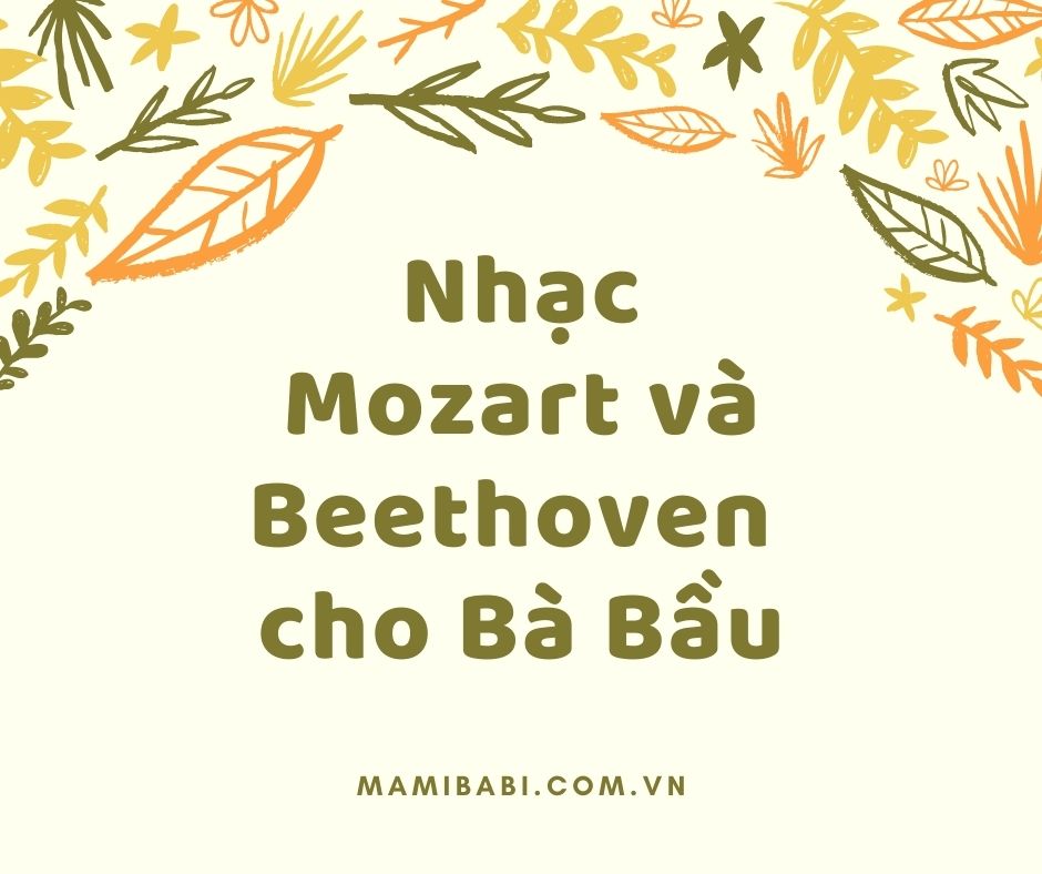 NHẠC BÀ BẦU MOZART - BEETHOVEN

Có thể nói, trong các thể loại nhạc cho bà bầu thì nhạc bà bầu Mozart và Beethoven chắc là nổi tiếng nhất. Mẹ nào nghe nhạc thai giáo cũng tìm đến dòng nhạc cổ điển này đầu tiên. Do nhiều mẹ hỏi quá nên hôm nay ad sẽ chia sẻ về 2 dòng nhạc này và cách nghe nhạc thai giáo trên Mamibabi nha.

Mozart là ai mà nổi tiếng thế?

Các tác phẩm của Mozart được xem là đỉnh cao trong các thể loại nhạc piano, nhạc thính phòng, nhạc giao hưởng, nhạc tôn giáo và opera. Từ năm 5 tuổi, Mozart đã bắt đầu sáng tác. Lý giải cho khả năng phi thường này, trong cuốn Muôn kiếp nhân sinh, tác giả Nguyên Phong có ghi: khả năng âm nhạc của Mozart có thể do được tôi luyện về âm nhạc qua nhiều kiếp sống trước đây vì từ khi sinh ra, dù chưa được ai dạy, Mozart đã tỏ ra là người có sự say mê và năng khiếu với âm nhạc.

Beethoven là ai?

Beethoven là một nhà soạn nhạc cổ điển người Đức. Từ năm 11 tuổi, ông đã có khả năng chơi piano một cách điêu luyện. Dù có cuộc sống cơ cực, khổ sở và nhiều đau đớn thể xác, thậm chí bị điếc, Beethoven vẫn để lại cho đời nhiều tác phẩm bất hủ.

Lợi ích của việc cho mẹ và bé nghe nhạc khi mang thai

Nhạc Mozart và Beethoven cho bà bầu và thai nhi thường có giai điệu du dương, êm dịu và mang lại nhiều lợi ích tuyệt vời cho bé và mẹ.
- Giúp thai nhi khỏe mạnh hơn
- Giúp thai nhi thông minh hơn
- Có kỹ năng phát triển ngôn ngữ tốt hơn
- Dễ dàng kết nối tình cảm giữa mẹ và bé

Ngoài ra, nhạc cho bà bầu với giai điệu thư giãn, tĩnh tâm chính là một cách xoa dịu sự căng thẳng do những tác động xảy ra bên trong cơ thể từ tâm lý, cảm xúc đến thể chất của mẹ bầu.

Nghe nhạc Nhạc Mozart và Beethoven cho Bà Bầu trên Mamibabi như thế nào?

Rất đơn giản, Mamibabi đã trang bị sẵn "tận răng" cho mẹ mọi thứ để có thể thai giáo bằng âm nhạc cho bé. Mẹ chỉ cần truy cập: https://mamibabi.com.vn/music là đã có thể nghe trọn bộ album nhạc Mozart và Beethoven cho Bà Bầu.

Ad sẽ điểm qua một vài album được các mẹ yêu thích nha:
- Mozart, Beethoven Và Bé
- Mozart Cho Bé – Chúc Bé Ngủ Ngon
- Mozart Cho Bé – Vui Cùng Nốt Nhạc
- The Best Of Beethoven Vol.1
- The Best Of Beethoven Vol.2

Lưu ý khi mẹ nghe nhạc thai giáo
- Nên nghe từ 20 - 30 phút; có thể nghe ít hoặc nhiều hơn tùy theo sự sắp xếp về thời gian của mẹ
- Không nên dùng tai nghe áp vào bụng hoặc các loại tai nghe bụng bầu, gây ảnh hưởng đến thính giác thai nhi. Chỉ nên bật điện thoại vừa đủ nghe và để bên cạnh
- Nằm thoải mái, kết hợp massage bụng và trò chuyện với con trong lúc nghe.

Chúc các mẹ thai giáo bằng âm nhạc hiệu quả với Nhạc Mozart và Beethoven cho Bà Bầu nhé. Có gì cần giải đáp, các mẹ cứ comment, ad sẽ hỗ trợ nha!

Thân thân,